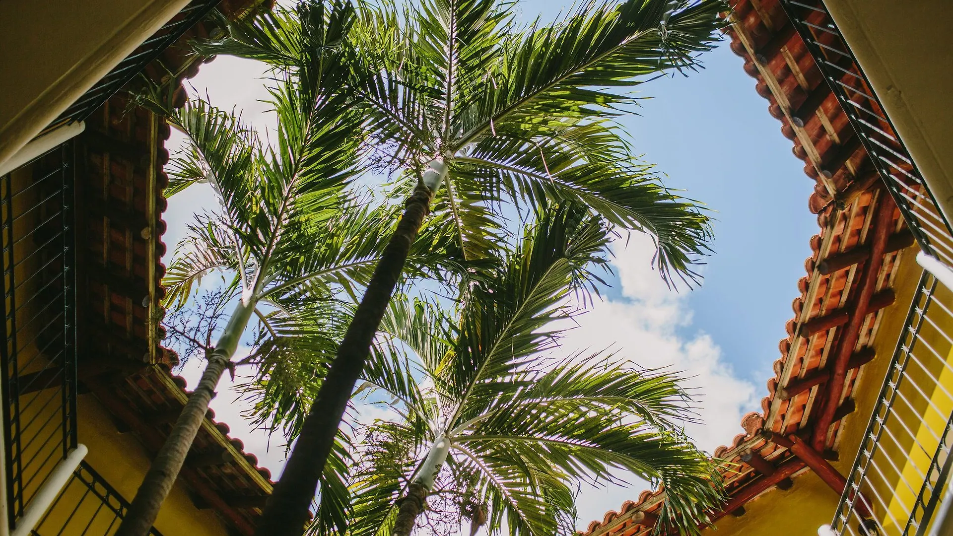 Occidental Cozumel Hotel Mexico