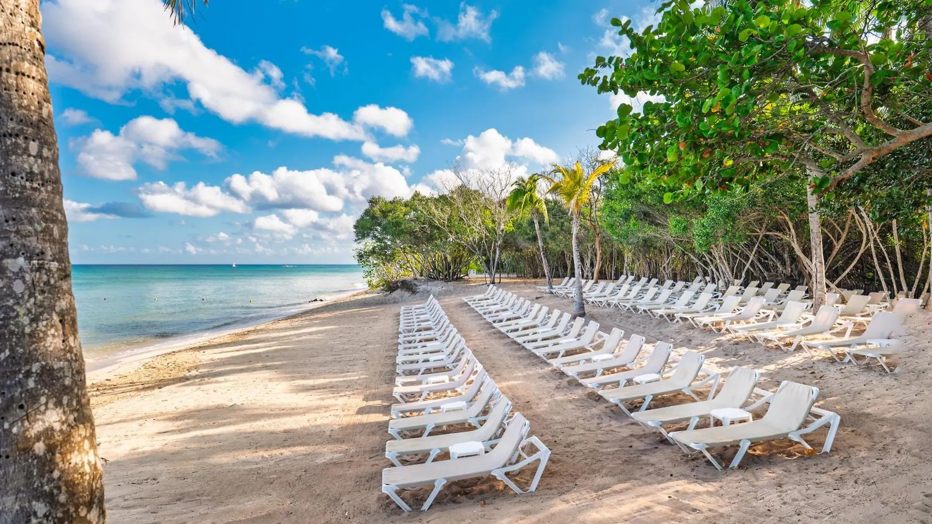 Occidental Cozumel Hotel Resort
