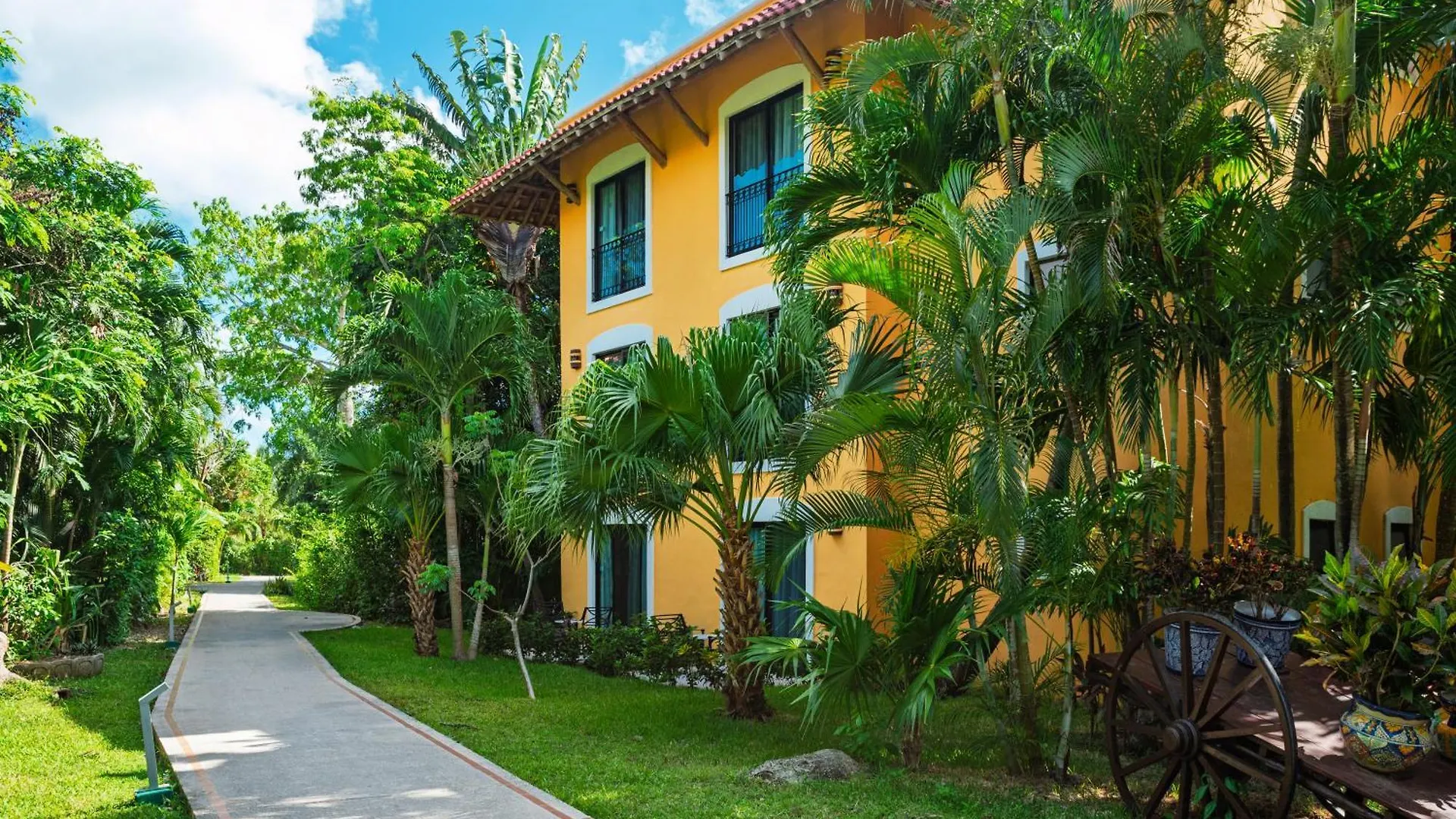 Occidental Cozumel Hotel Mexico