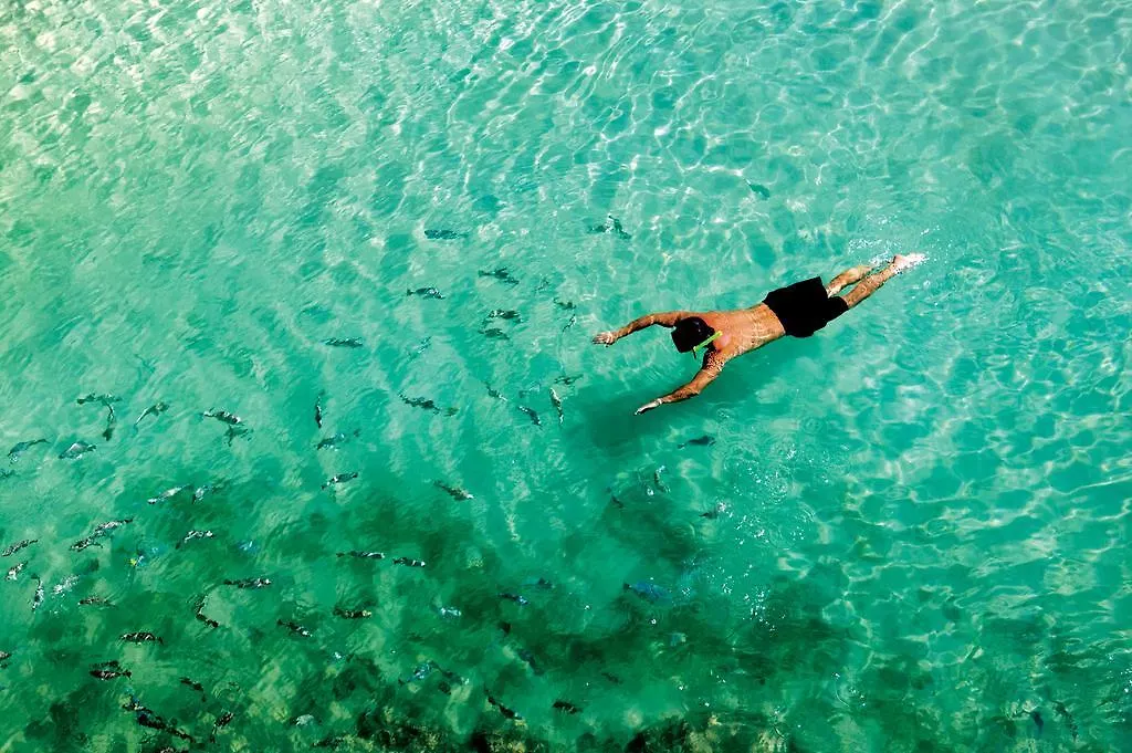 Occidental Cozumel Hotel 5*,  Mexico